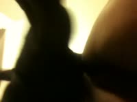 Slut got holes licked and fucked by dog